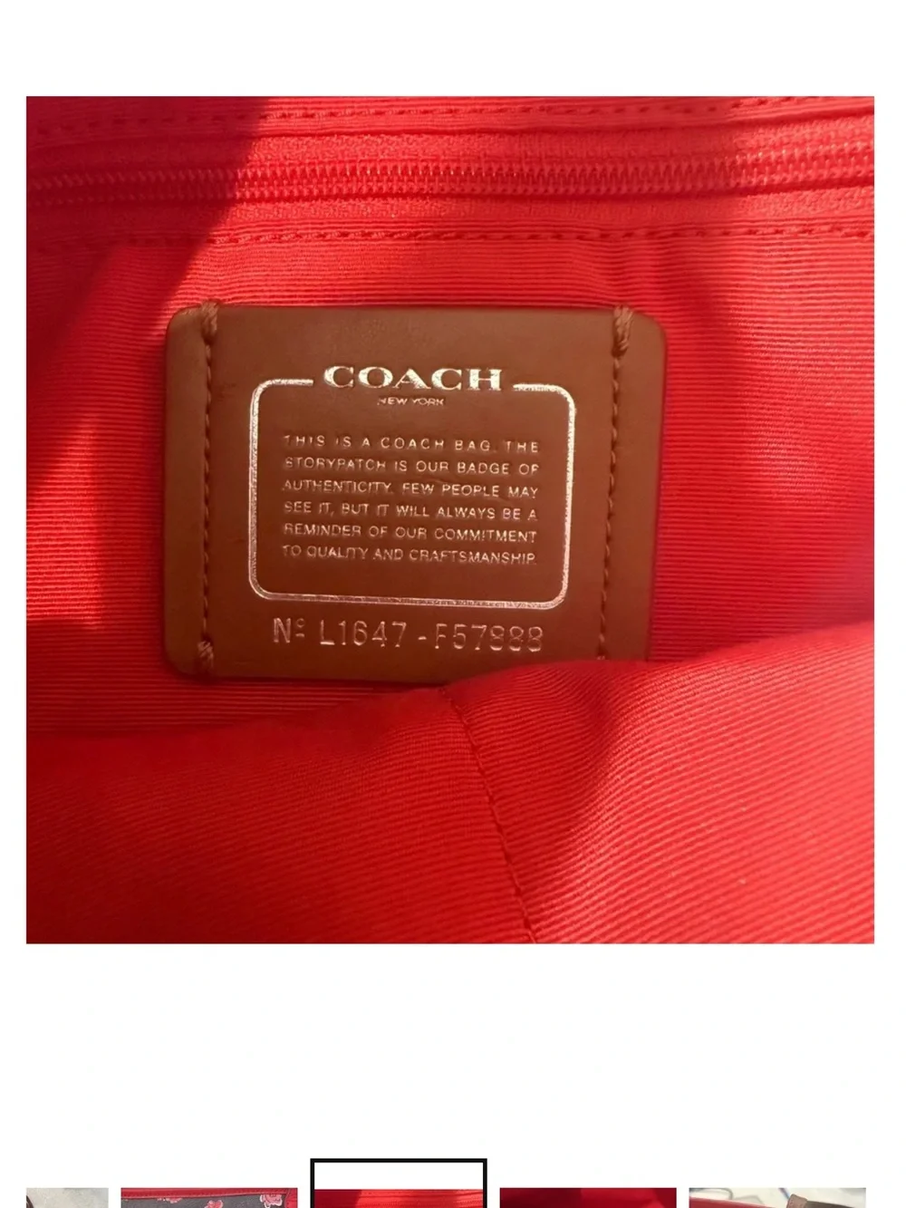Coach this excellent